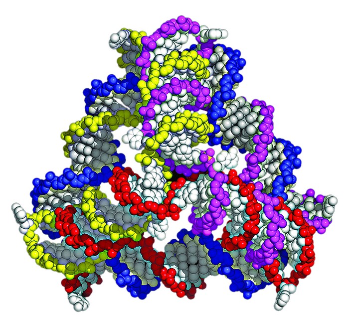 DNA Cages Slip Into Cells