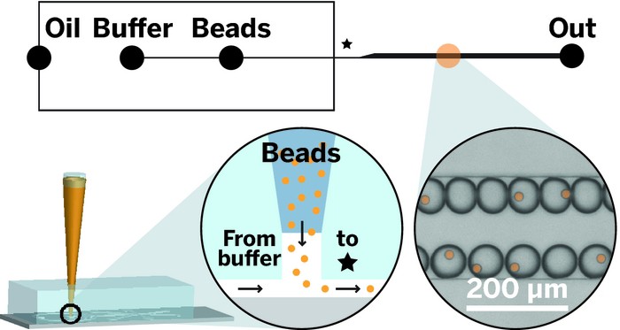 Bead Hopper Loads Up Microfluidic Devices