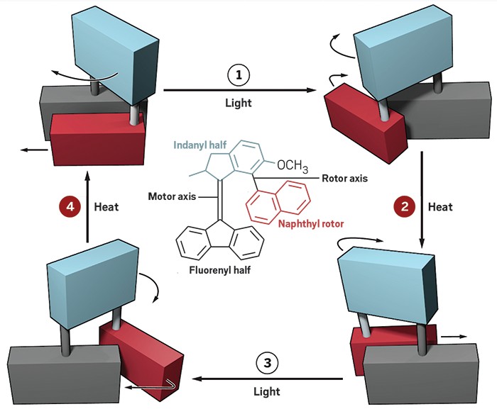 Molecular motor turns rotor