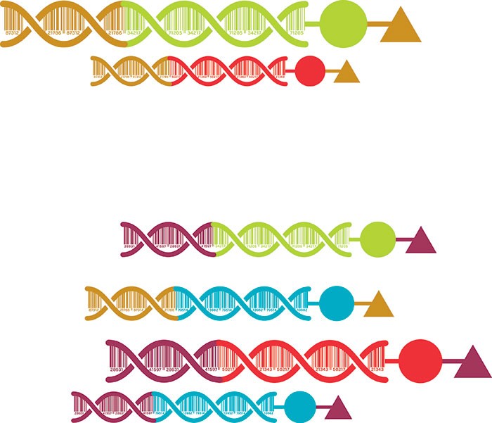 How DNA-encoded libraries are revolutionizing drug discovery