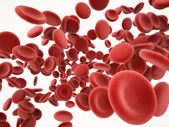 Janitorial system in red blood cells discovered