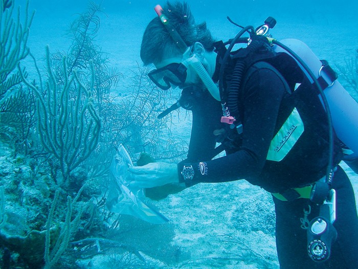 Croda to probe marine biology on Prince Edward Island