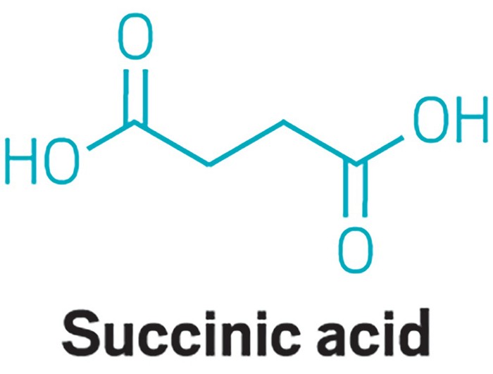 The molecular formula of succinic acid coursework 07 The molecular formula of succinic acid coursework 07 image