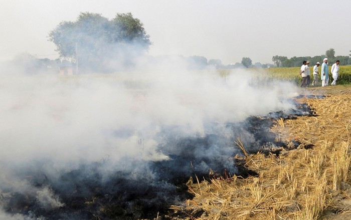 crop residue burning pollutes delhis urban air, studies say