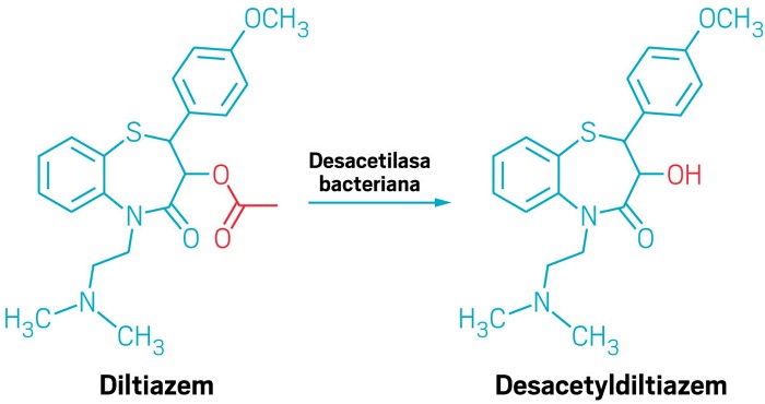 Fascinantes fundacion dieta mediterránea tácticas