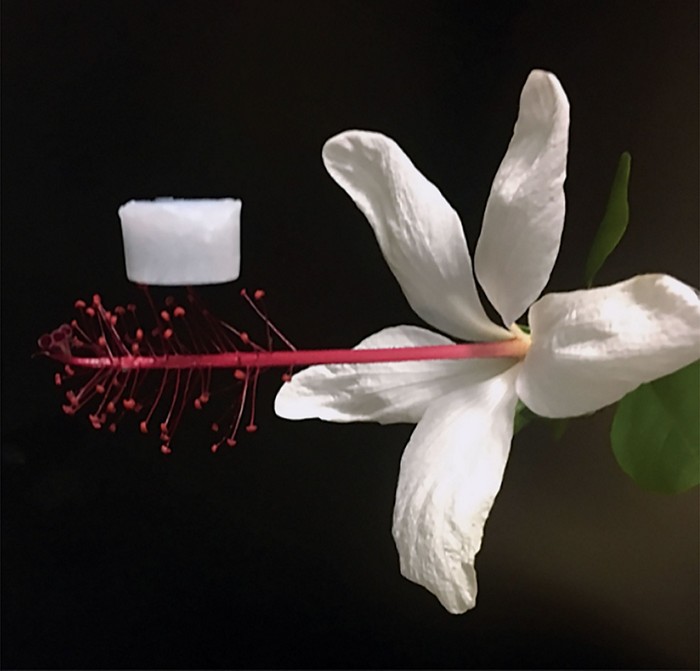 Lightweight ceramic aerogel stands up to high heat
