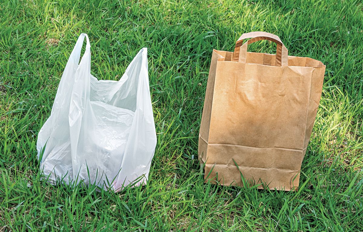 Paper Bag vs Plastic Bag