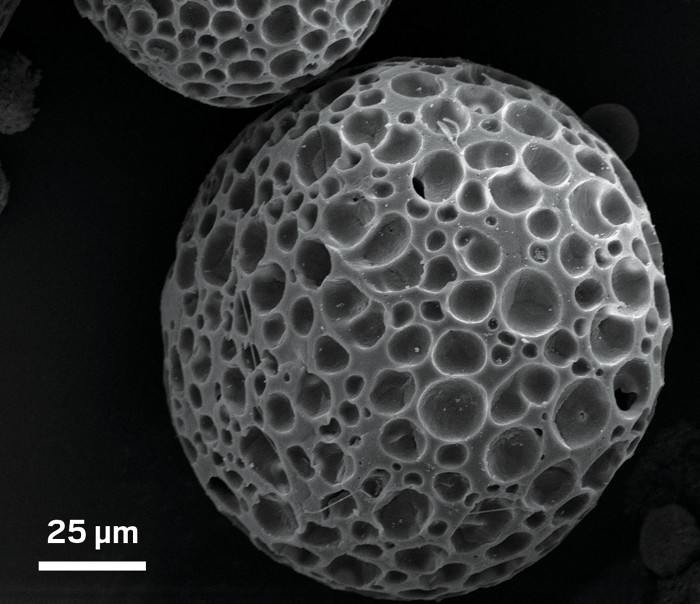 Chemistry in Pictures A sponge for scrubbing the environment