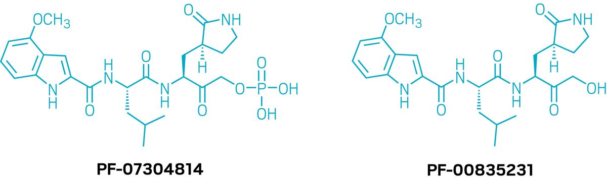 Pfizer’s Novel COVID-19 Antiviral Heads To Clinical Trials