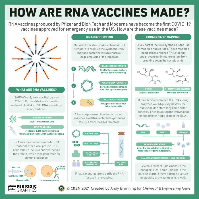 Periodic Graphics How are RNA vaccines made?